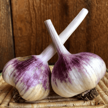 Inchelium Red Garlic Product Photo