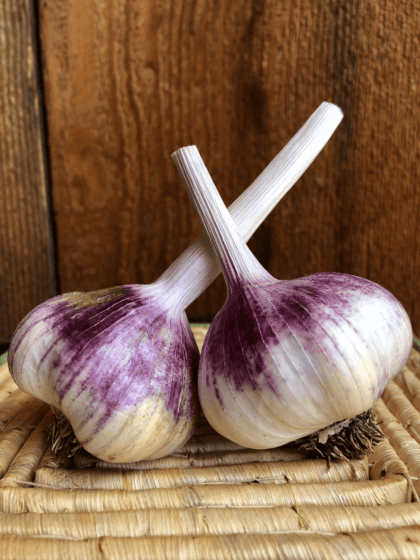 Inchelium Red Garlic Product Photo