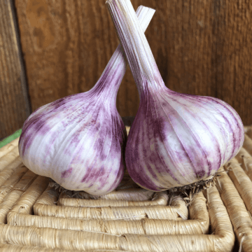 Lorz Italian Garlic Product Photo