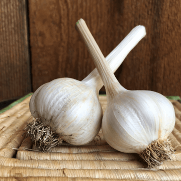 Silver White Garlic Product Photo