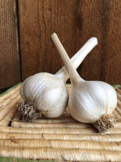 Silver White Garlic Product Photo