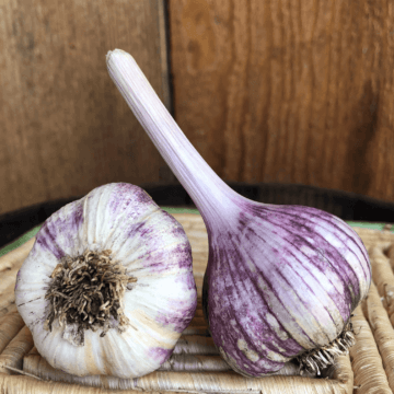 Thai Purple Garlic Product Photo